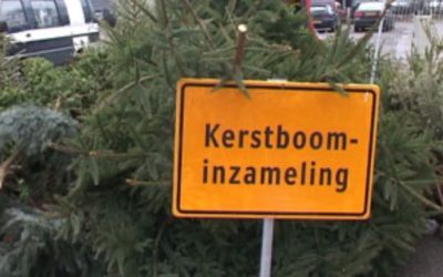 Toch nog kerstbomen inzamelen!